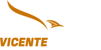 NOVO LOGO VICENTE MARTINS 25 BRANCO E LARANJA